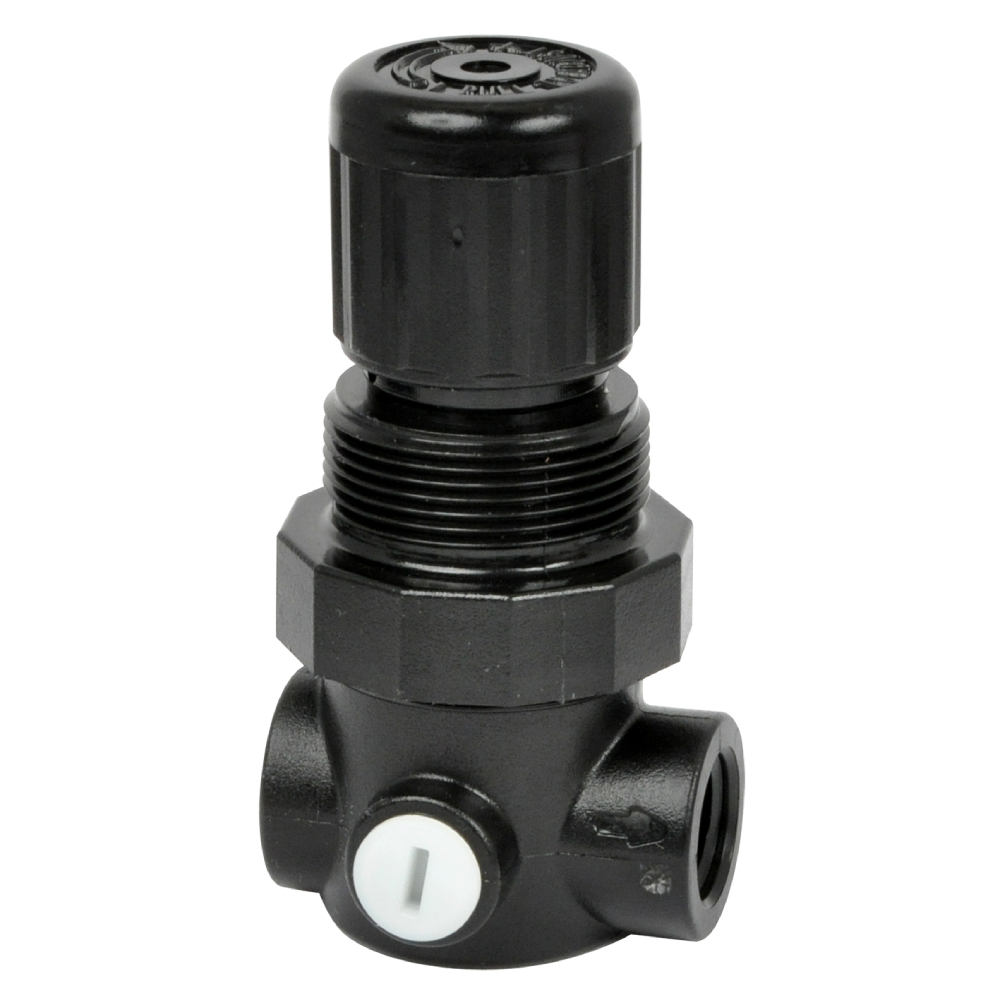 R91W-2AK-NLN | Water Regulators