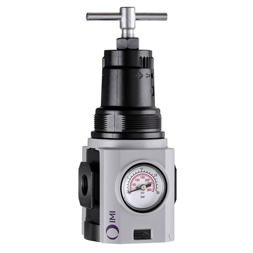 R84G-4GT-RSG | Excelon Plus general purpose pressure regulator, G1